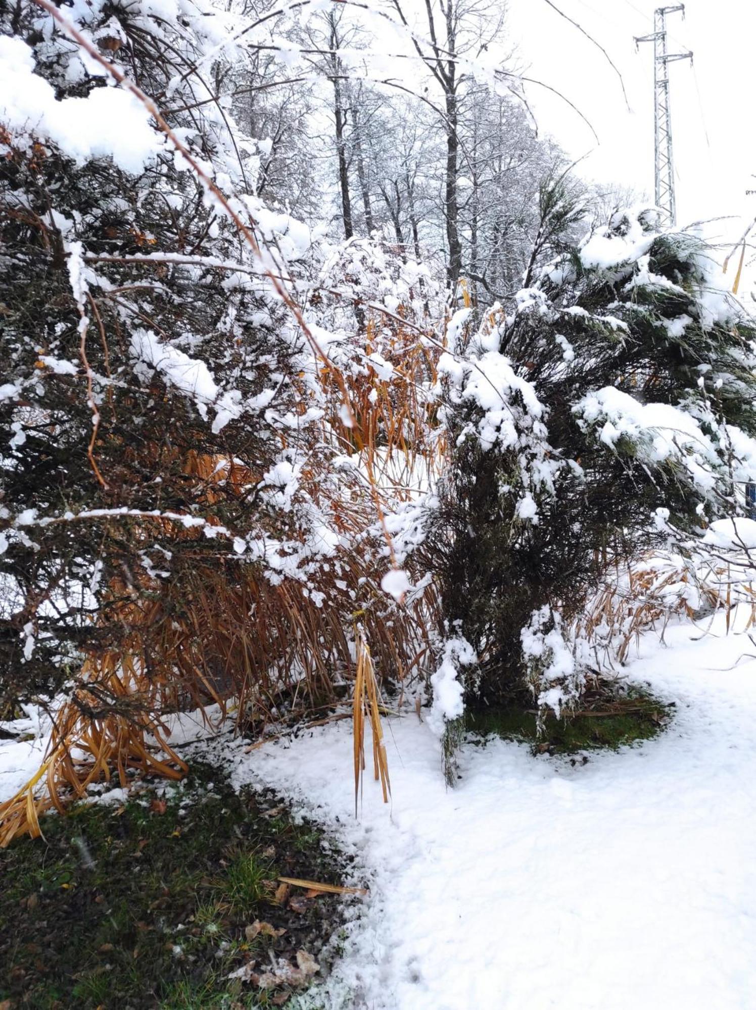 Penzion Kosky Hamr Exterior photo